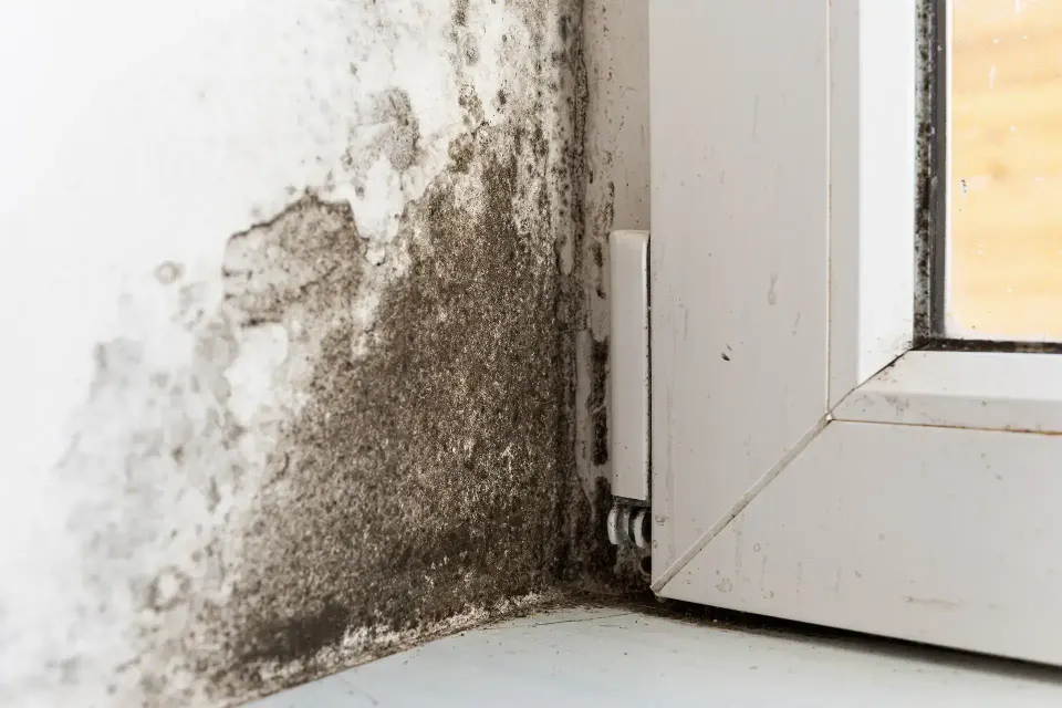 Cheney — Water Damage